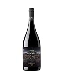 Garnachas de España - Vino tinto La Garnacha Fosca del Priorato 2010