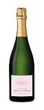 Baron de Villeboerg Champagne Rosé AOC Côte des Bar 75 cl – Cuvée 90% Pinot Noir / 10% Chardonnay – Burbuja fina, aromas de frutos rojos – Ideal aperitivos, mariscos, celebraciones.
