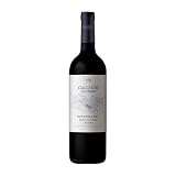 Pagos de Valcerracin 2021: análisis y comparativa de vinos y bebidas alcohólicas