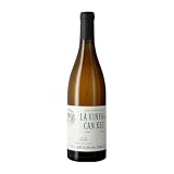 Can Vinya: Análisis y Comparativa de los Mejores Vinos y Bebidas Alcohólicas