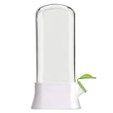 Adfaga Guardián del recipiente Reservador de plástico de plástico Preserver para el refrigerador Vegetales menta Peraboración de menta Cilantro Asparagus 13x27cm 392g