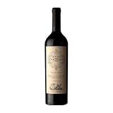 Aleanna Gran Enemigo El Cepillo Cabernet Franc Mendoza 75 cl Vino tinto