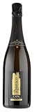 Cava Espagnol: Análisis y Comparativa de los Mejores Vinos y Bebidas Alcohólicas