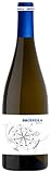 Cata de Vins del Priorat: Comparativa de los Mejores Vinos y Recomendaciones para Tu Próxima Degustación