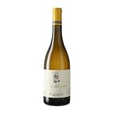 Escoda Sanahuja: análisis y comparación de los mejores vinos y bebidas alcohólicas
