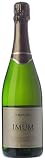 Emendis Cava: análisis y comparativa de los mejores cavas y espumosos