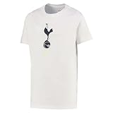 Nike 2022-2023 Tottenham Crest tee (White)