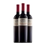 Casal de Armán Ribeiro Joven 75 cl Vino tinto (Caja de 3 Botellas de 75 cl)
