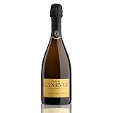 CANEVEL 'IL MILLESIMATO' 2024 | Valdobbiadene Prosecco Superiore DOCG Millesimato Extra Dry | 750 ml | 1 botella