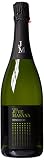 Marca Blanca - Juve Masana Cava Semiseco, 75cl