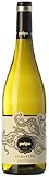 Albariño y el Pulpo: Análisis y Comparativa de los Mejores Vinos para Maridar