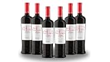 Viña Sastre Pesus 2016: análisis y comparativa de un Ribera del Duero en plena madurez