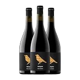Viña Zorzal Malayeto: análisis y comparativa de este vino entre los mejores de su categoría