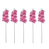 Wodsty Lote de 5 tallos de orquídeas artificiales realistas, flores de seda
