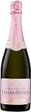 VIN - ALCOOL - LIQUIDES