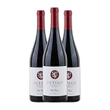 Victoria Ordóñez Zetian Tempranillo Vino de la Tierra de Castilla 75 cl Vino tinto (Caja de 3 Botellas de 75 cl)