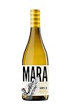 Godello Verdes Castros: análisis y comparativa de los mejores vinos de Godello