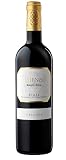 Arienzo de Marqués de Riscal - Vino tinto Crianza Denominación de Origen Calificada Rioja, Variedad Tempranillo, 18 meses en barrica - Botella individual x 750 ml