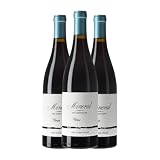 Cara Nord Mineral Montsant 75 cl Vino tinto (Caja de 3 Botellas de 75 cl)
