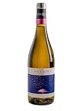 Aguazul Verdejo - Vino Blanco DO Rueda (Botella x 750ml)