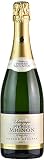 Análisis y comparación del Pierre Darcys Champagne Brut: perfil, aromas y relación calidad-precio frente a otros champagnes