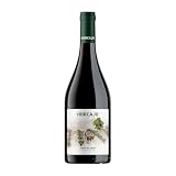 Cepa 21 Horcajo Tempranillo Ribera del Duero 75 cl Vino tinto