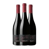 Huerta de Albalá Barbazul Selección Especial Vino de la Tierra de Cádiz 75 cl Vino tinto (Caja de 3 Botellas de 75 cl)