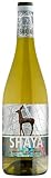 **Shaya Verdejo: análisis y comparativa de este vino blanco entre los mejores del mercado**