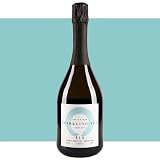 Sparkling tea en la mesa: análisis y comparativa de las mejores bebidas espumosas frente a vinos y licores