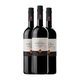Fernando de Castilla Classic Manzanilla Palomino Fino 75 cl Vino generoso (Caja de 3 Botellas de 75 cl)