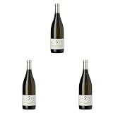 Domaine Nathalie & Gilles Fèvre Chablis Premier Cru Vaulorent, Vino Blanco, 75 cl - 750 ml (Paquete de 3)