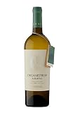 **Albariño Organistrum: Análisis y Comparativa del Mejor Albariño para los Amantes del Vino Blanco**