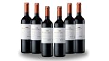 Palacio Quemado: Análisis y Comparativa de sus Mejores Vinos y Bebidas Alcohólicas