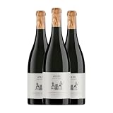 Pago de Aylés Senda de Leñadores Vino de Pago Aylés 75 cl Vino tinto (Caja de 3 Botellas de 75 cl)