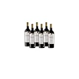 Teófilo Reyes Edición Limitada vino tinto premium selección gourmet – 6 Botellas x 75 cl