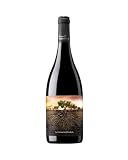 Les Cousins - Vino tinto La Garnacha Olvidada de Aragón 2011 Calatayud