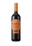 Campo Viejo Reserva D.O.Ca Rioja Vino - 750 ml