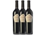 Vino Tinto Luis Pérez Samaruco de la Tierra de Cádiz, Crianza 75 cl (Caja de 3 Botellas)