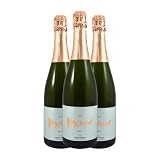 Chozas Carrascal Roxanne Brut Cava 75 cl Espumoso blanco (Caja de 3 Botellas de 75 cl)