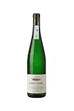 Txakoli bebida: análisis y comparativa de los mejores vinos y bebidas alcohólicas