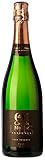 Análisis y comparativa de cava canals & munné precio: qué comprar y por qué