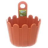 Sempreviva Maceta pequeña Redondo para Colgar Color Naranja