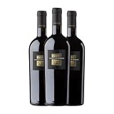 San Marzano Sessantanni Primitivo Primitivo di Manduria 75 cl Vino tinto (Caja de 3 Botellas de 75 cl)
