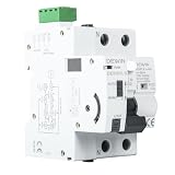 DEWIN Diferencial Auto Rearmable,2P 40A 30MA Diferencial Rearmable Diferencial Rearme Automatico RCCB Inteligente Interruptor de Protección de Bajo Voltaje
