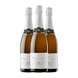 Raventós i Blanc Blanc de Blancs Brut Reserva 75 cl Espumoso blanco (Caja de 3 Botellas de 75 cl)