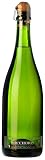 Bocchoris Brut Nature: Análisis y comparativa de sus mejores alternativas en vinos espumosos de alta calidad