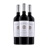 Análisis y comparativa de clunia syrah: perfil, estilo y maridajes