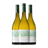 Vinyes del Terrer Blanc Tarragona 75 cl Vino blanco (Caja de 3 Botellas de 75 cl)
