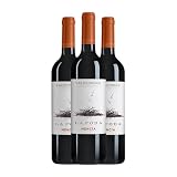 Caserío de Dueñas La Poda Mencía Valdeorras 75 cl Vino tinto (Caja de 3 Botellas de 75 cl)