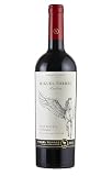 Ándica Carmenère